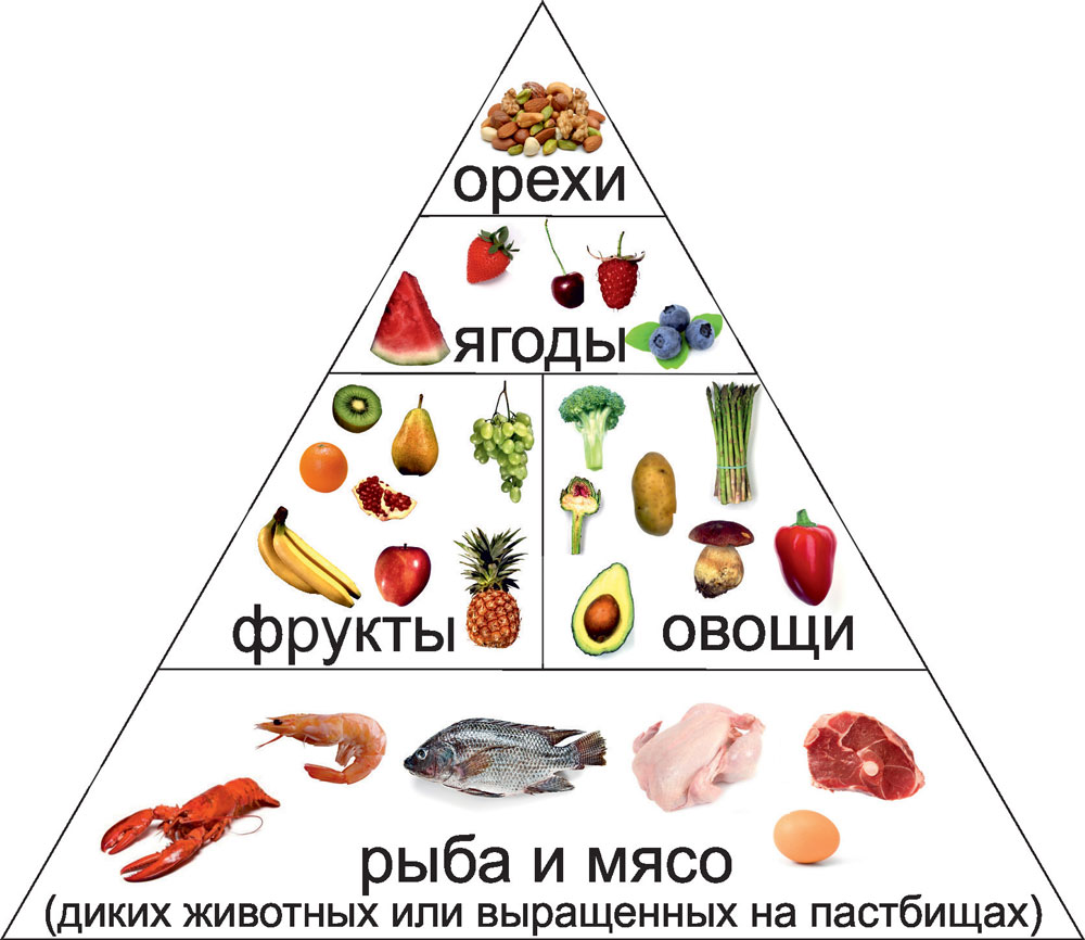 Пирамида Кето Диеты Пищевая