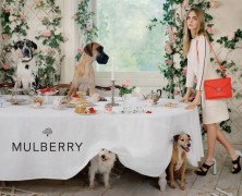 mulberry-spring-2014-ad