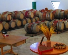 Barrel-Room-Fikardos-Winery