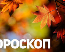 fall-wallpapers-27853-2926821