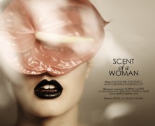 Scent of a Woman 1
