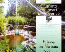 Dive into  the heart of Provence